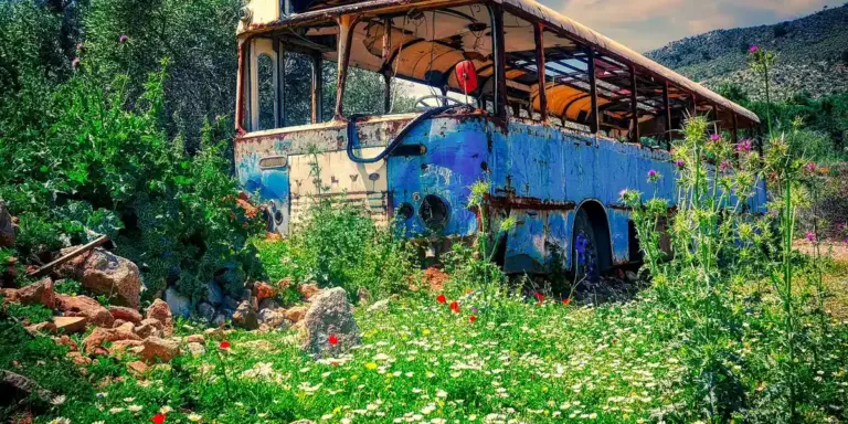 An old blue bus abandoned in a grassy field, overgrown with wildflowers and greenery, with mountains in the background.
