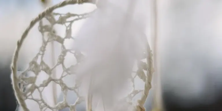 Close-up of a circular woven net resembling a dreamcatcher, with a soft, blurred background suggesting a dreamlike scene.