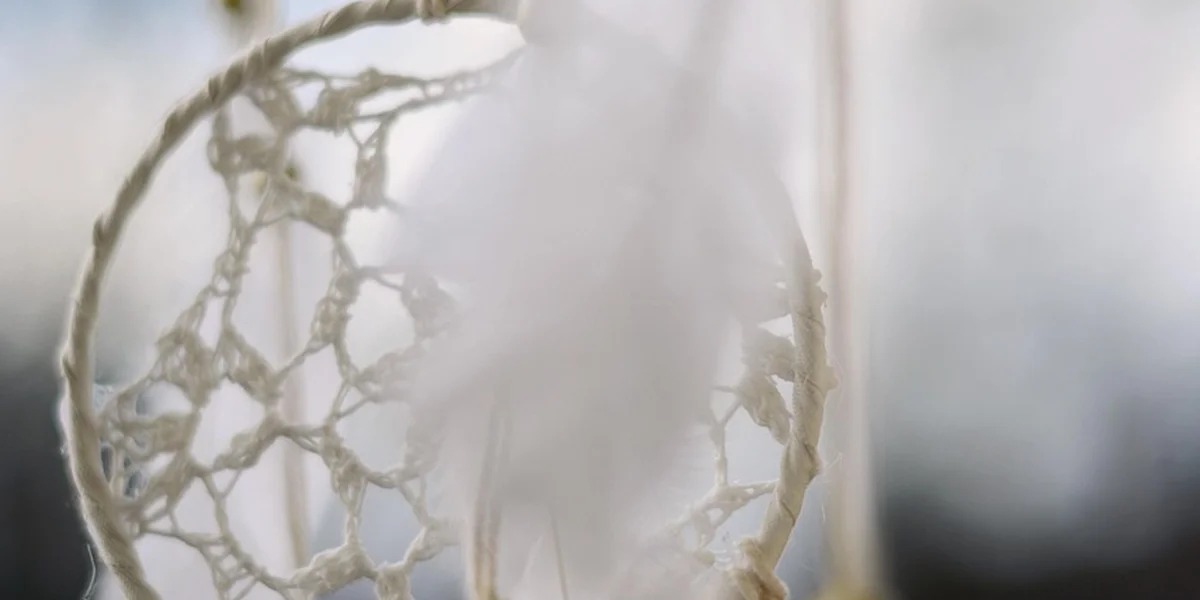 Close-up of a circular woven net resembling a dreamcatcher, with a soft, blurred background suggesting a dreamlike scene.