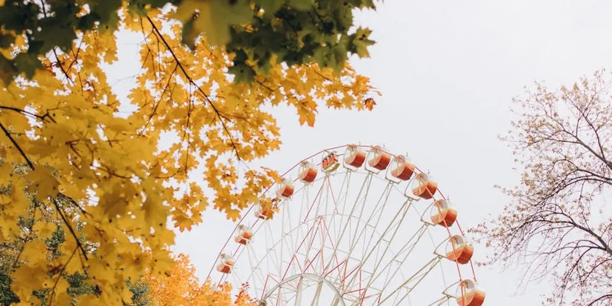 Ferris wheel framed by bright autumn leaves in yellows and oranges, symbolizing a rich color palette.