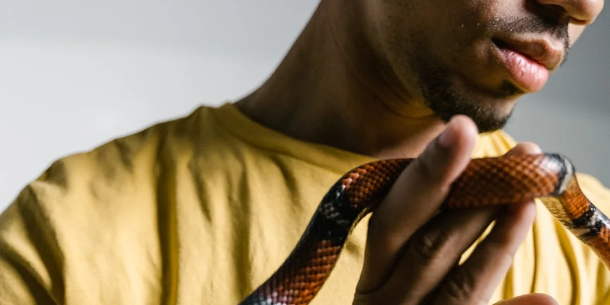 Close-up of a person wearing a yellow shirt holding a small patterned snake, focused on the snake near their hands.