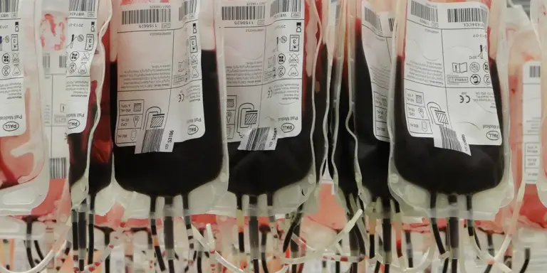 Row of medical blood bags hanging in a clinical setting