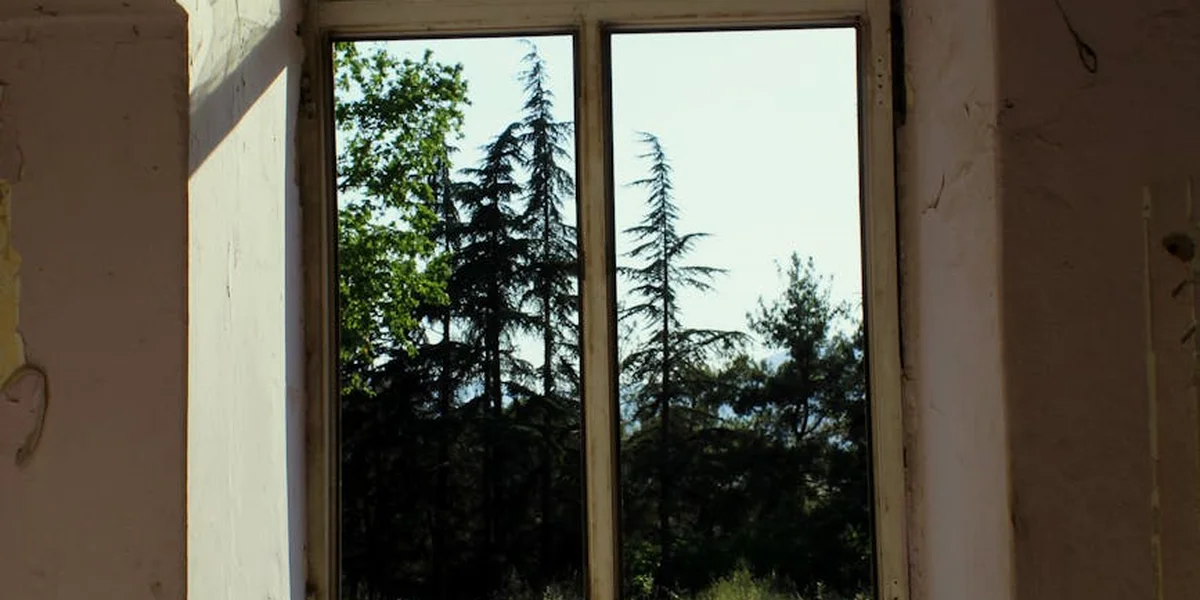 Interior view through a tall, closed window revealing a tree-filled scene outside; sunlight streams in and casts shadows on the walls.