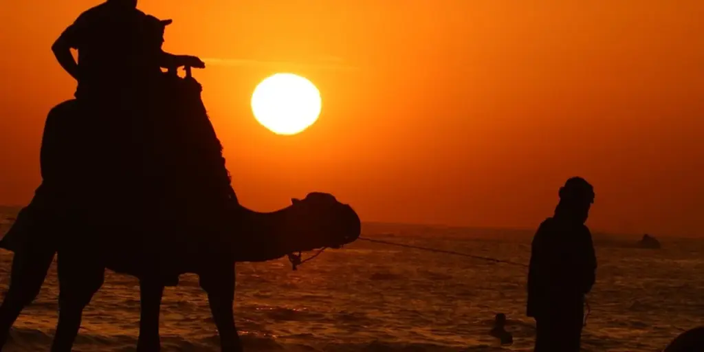 What Does a Camel Dream Mean? Symbolism and Insight