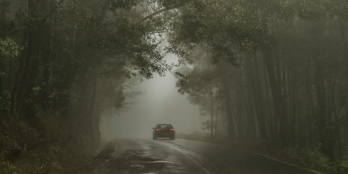 A car travels along a foggy forest road, with trees looming on either side.
