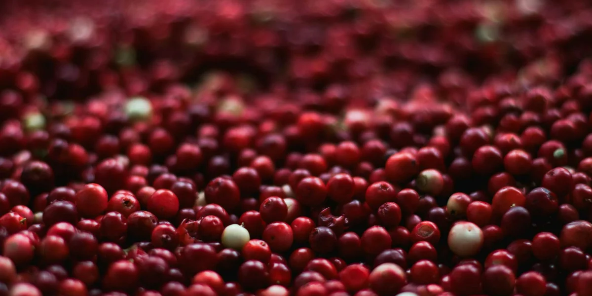 Close-up of densely packed small red berries with a few pale berries, suggesting abundance and variation in fruit symbolism.