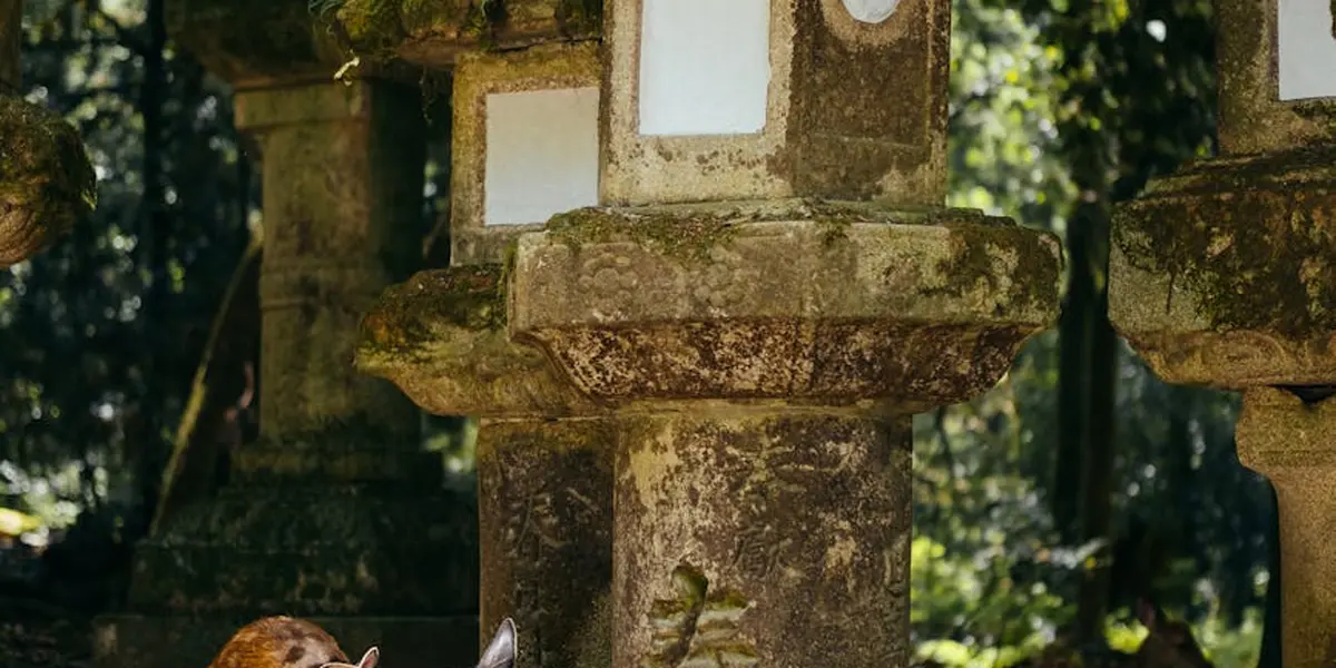 Weathered stone shrine lanterns in a quiet garden, with small white papers attached to the lanterns.