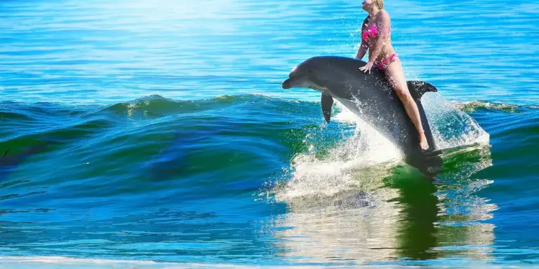Person in a pink swimsuit riding a dolphin on a breaking blue wave in the ocean.