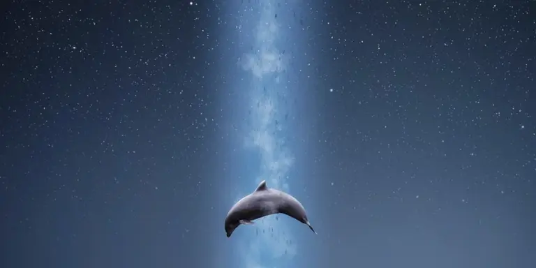 Dolphin jumping out of dark water under a star-filled night sky with a vertical beam of blue light extending upward