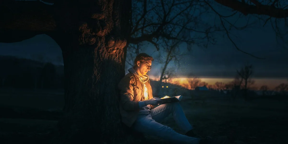 A person sits beside a large tree at night, reading a book by a warm glow, with a distant horizon lit by fire-like light.