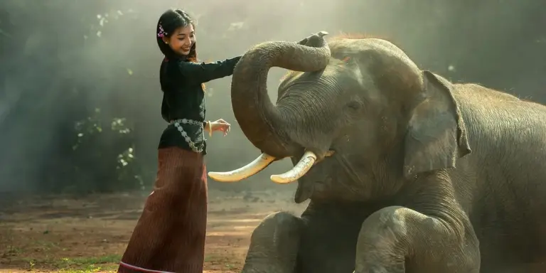 A young girl gently touching the trunk of a large elephant in a sunlit, forested setting.