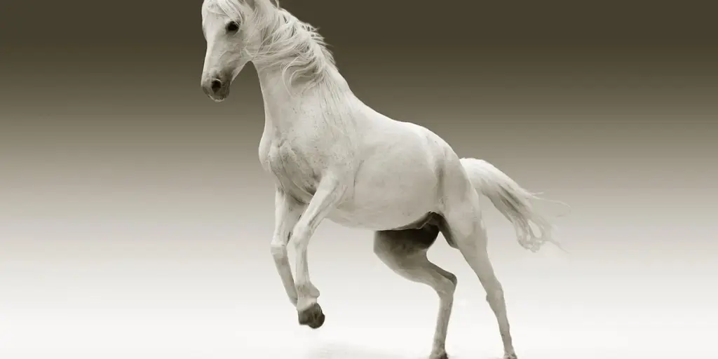 What Does It Mean to Dream About Horses? Symbolic & Spiritual Meanings