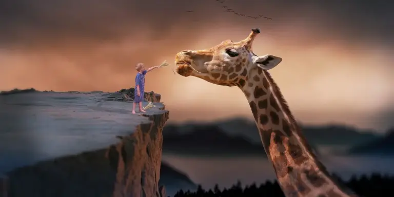 A child stands at the edge of a rocky cliff reaching toward a tall giraffe under a warm, sunset-lit sky.