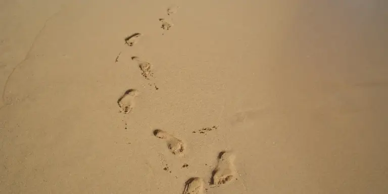Footprints in pale sand forming a trail that disappears into the distance.