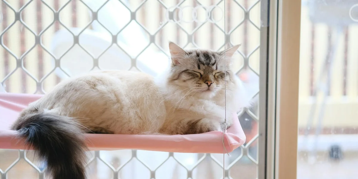 A fluffy domestic cat lounging on a pink hammock behind a wire mesh fence