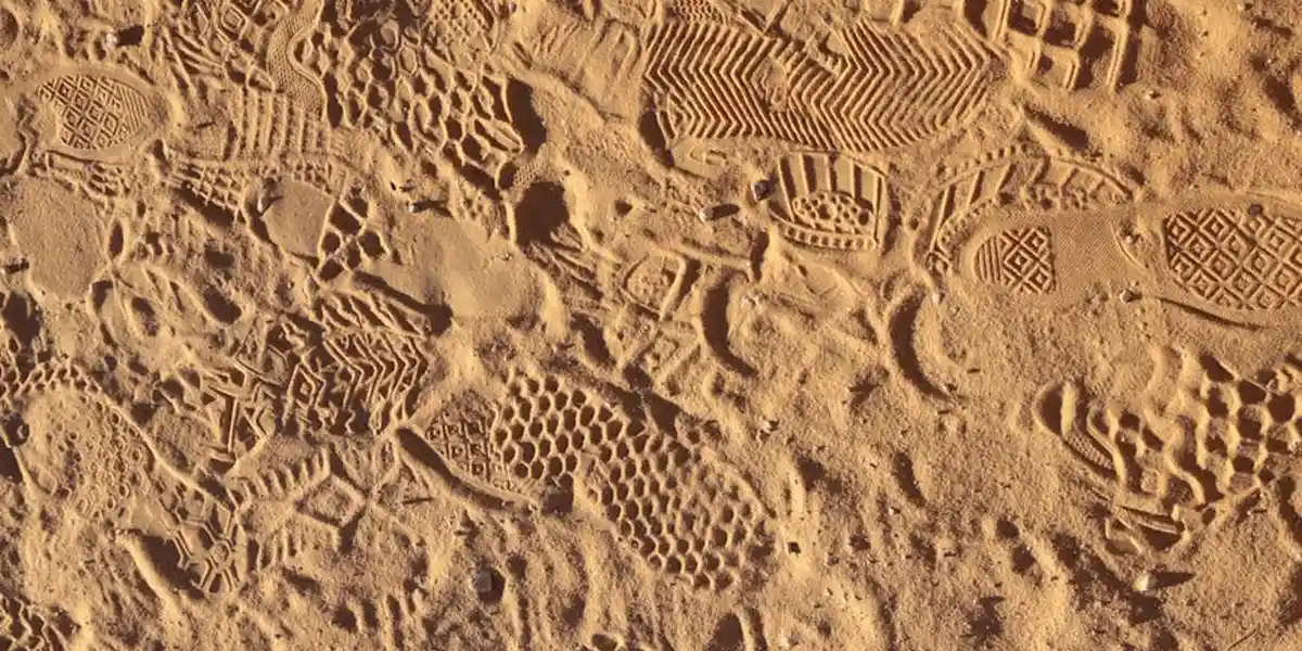Close-up of a sandy surface with numerous footprints and geometric imprint patterns.