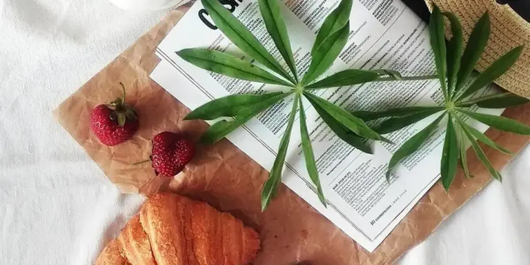 Flat lay image featuring raspberries, a croissant slice on parchment, palm-like green leaves, and a newspaper on a white fabric background.