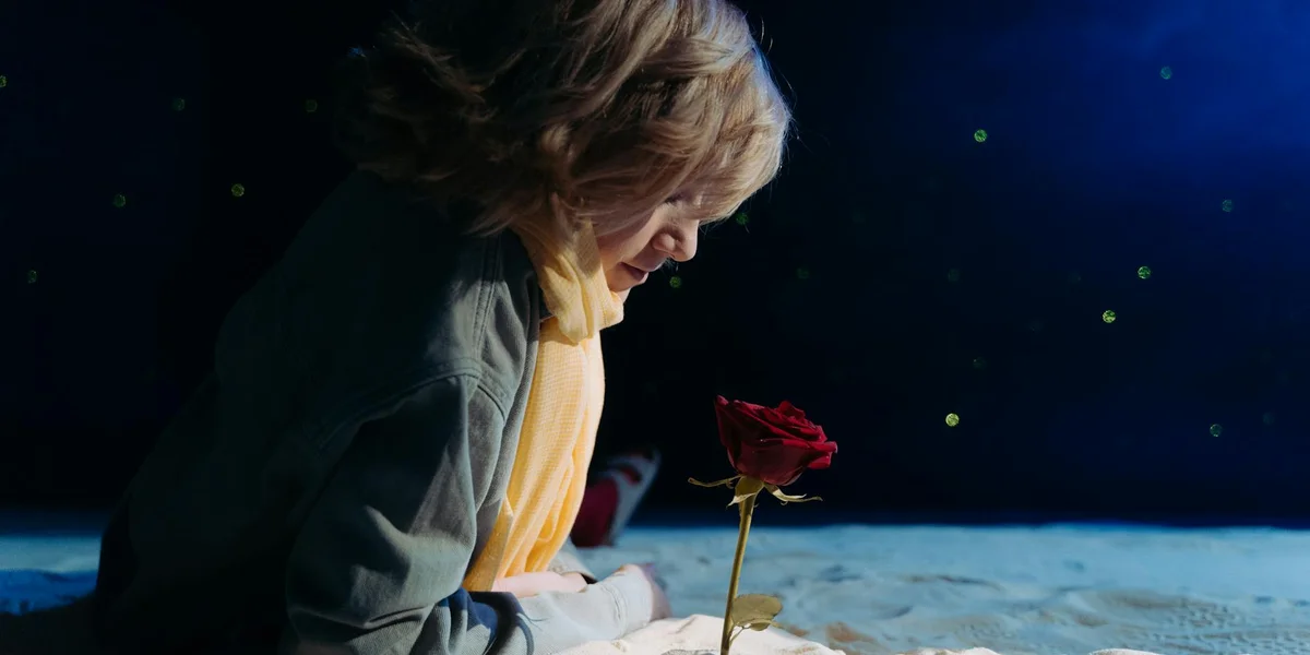 Person wearing a scarf kneels on a snowy surface at night, holding a single red rose against a dark, starry background.