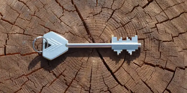 Metal key resting on a weathered tree stump with visible growth rings