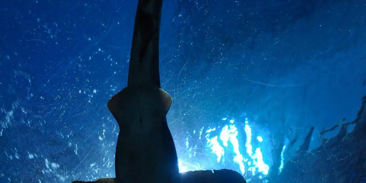 Underwater scene with a dark shark silhouette swimming toward the viewer, bathed in blue light from above.