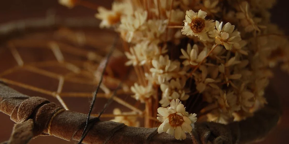 Close-up of dried beige flowers in a vase against a warm brown background.