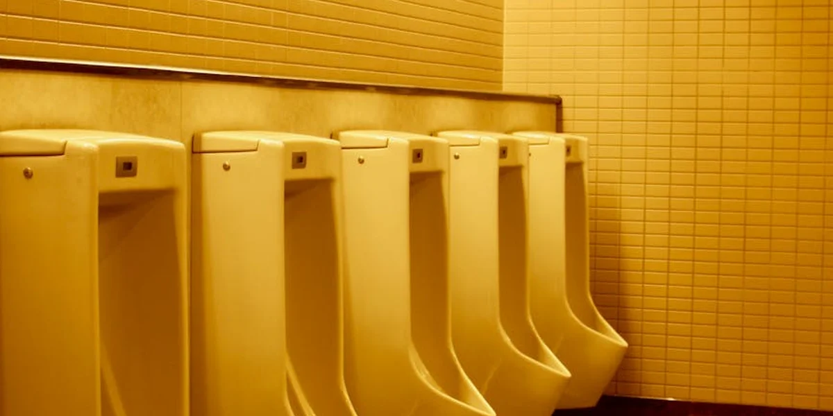 Rows of beige urinals in a yellow-tinted bathroom.
