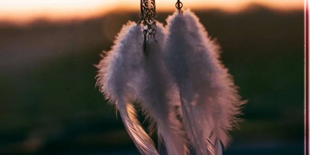 Close-up of white feathers hanging from a dreamcatcher, softly lit at dusk.