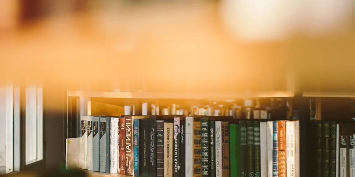 Soft-focused view of tall library shelves bathed in warm light, inviting exploration.