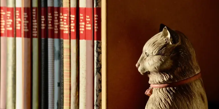 A row of colorful book spines on a shelf next to a cat figurine with a pink collar against a warm brown background