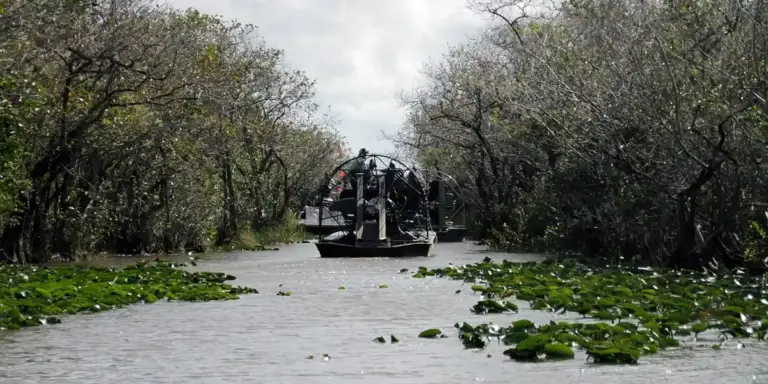 A narrow waterway lined with trees and floating lily pads; a small boat with passengers travels under a bridge, creating a moody, mysterious scene.