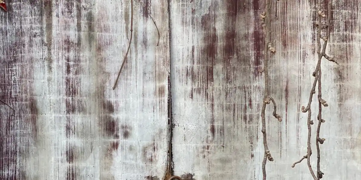 Weathered wooden boards with vertical grain and curling vines along the right edge, conveying entrapment and stillness.