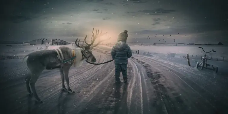 A lone person in a heavy winter coat stands on a snow-covered road, holding a leash attached to a reindeer, under a pale, overcast sky.