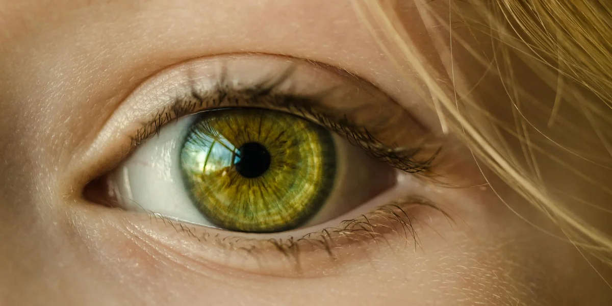 Close-up of a green eye with a detailed iris, symbolizing inner vision and the journey from perception to insight.