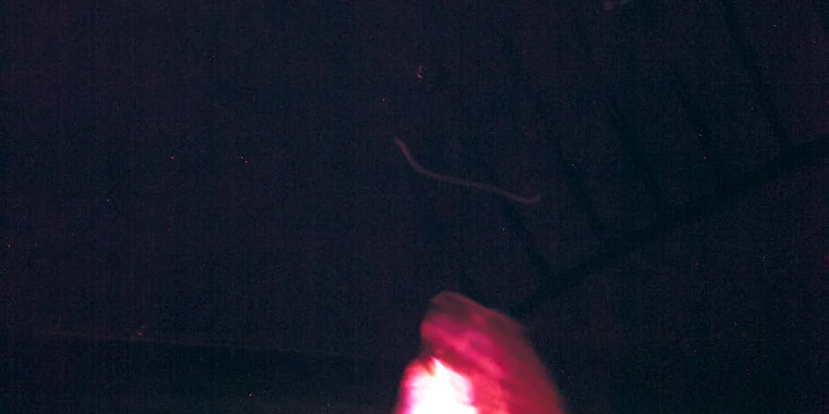 A dark image with a soft pink glow rising, evoking the sensation of floating.