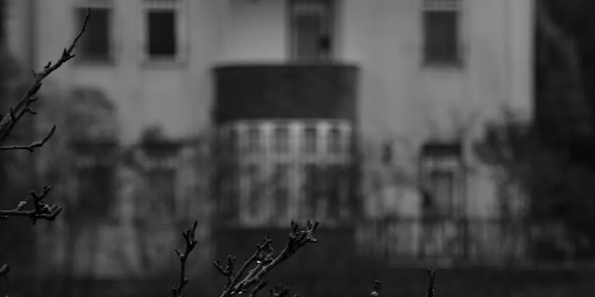 Black-and-white photograph of a haunted-looking house with a blurred facade and bare branches in the foreground.
