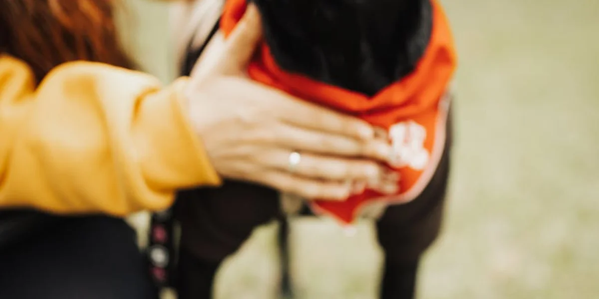 A person in an orange sweater holds a small black dog wearing a red bandana, outdoors on a grassy surface.
