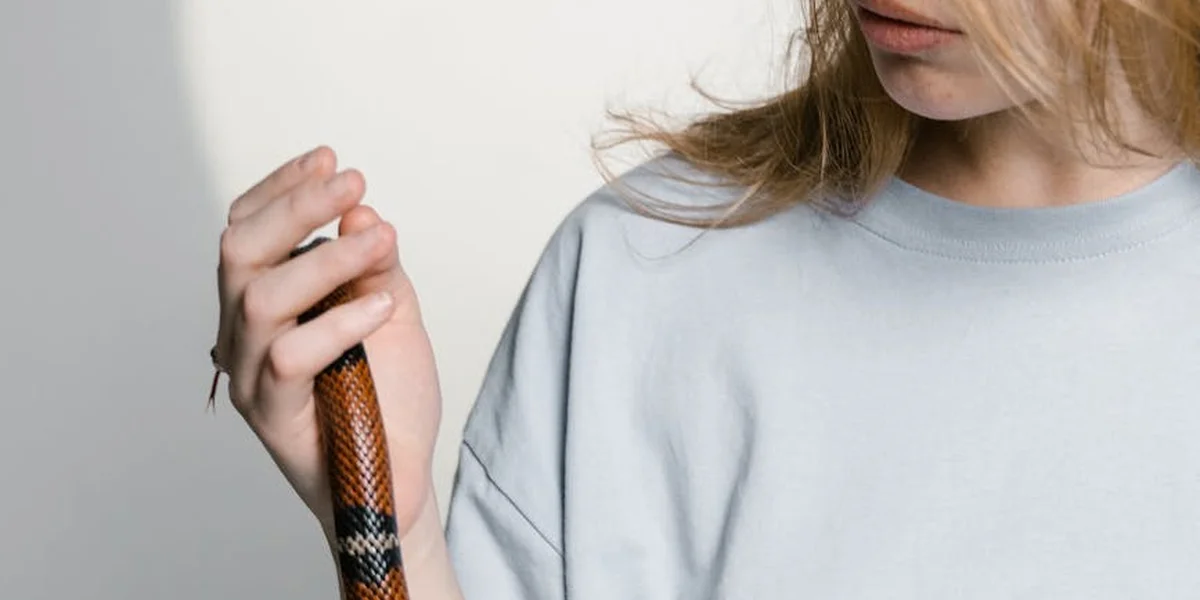 Close-up of a person wearing a light blue shirt holding a snake, with the snake wrapped around their hand.