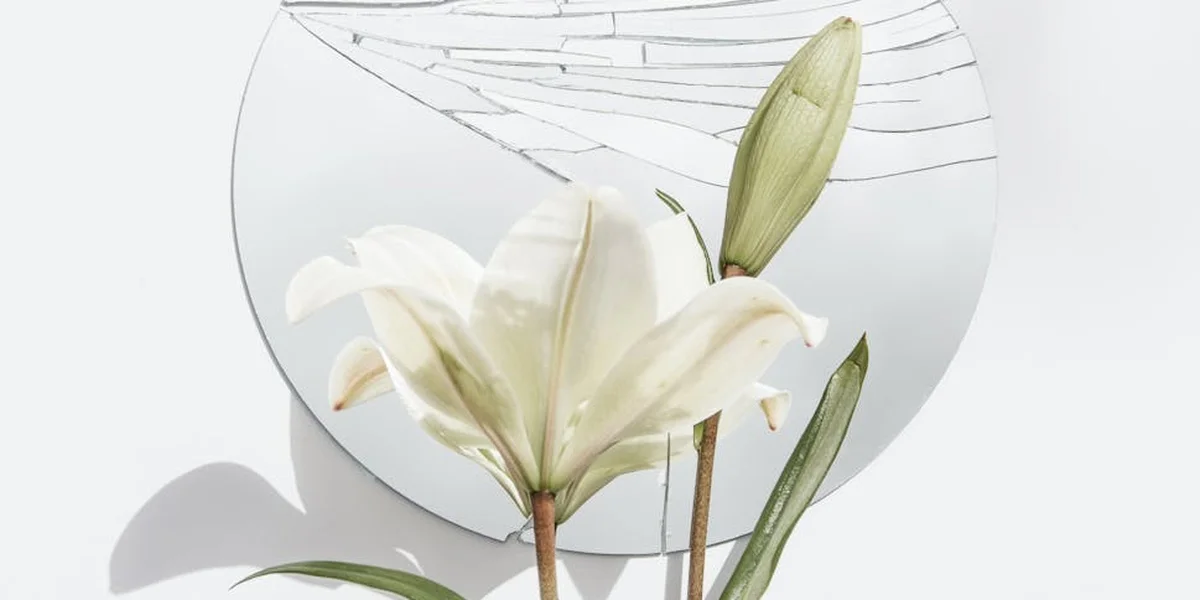 White lilies in front of a round mirror, symbolizing reflection and inner insight for dream interpretation.