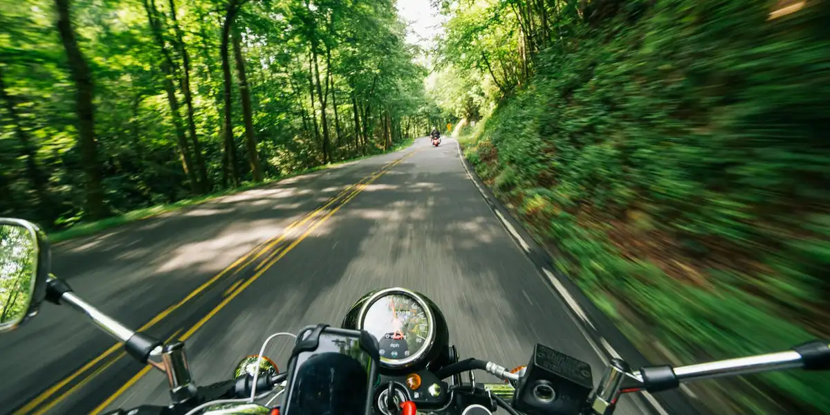 First-person view from a motorcycle handlebars along a sunlit forest road with green trees on both sides.