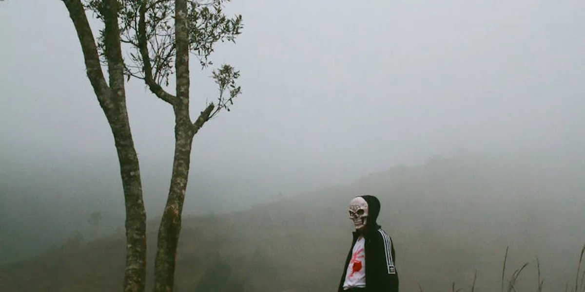 Foggy landscape with a lone figure wearing a skull mask and hoodie beside a bare tree, creating a haunting, dreamlike scene.