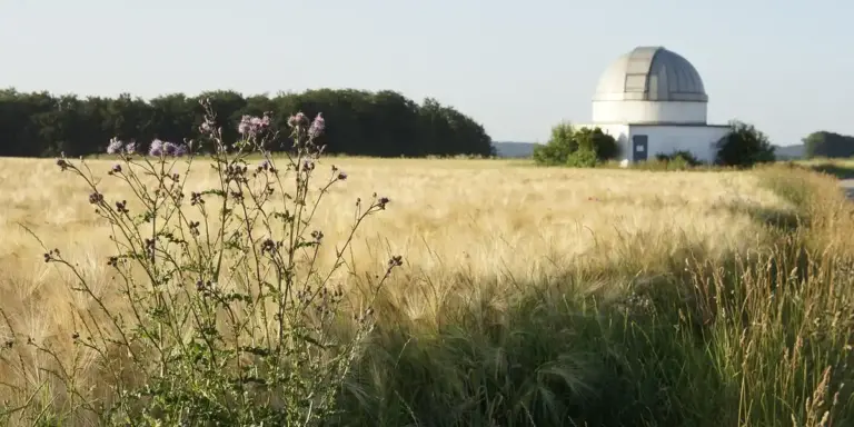 A white observatory dome sits in a sunlit field of tall grass and wildflowers, with a distant treeline.