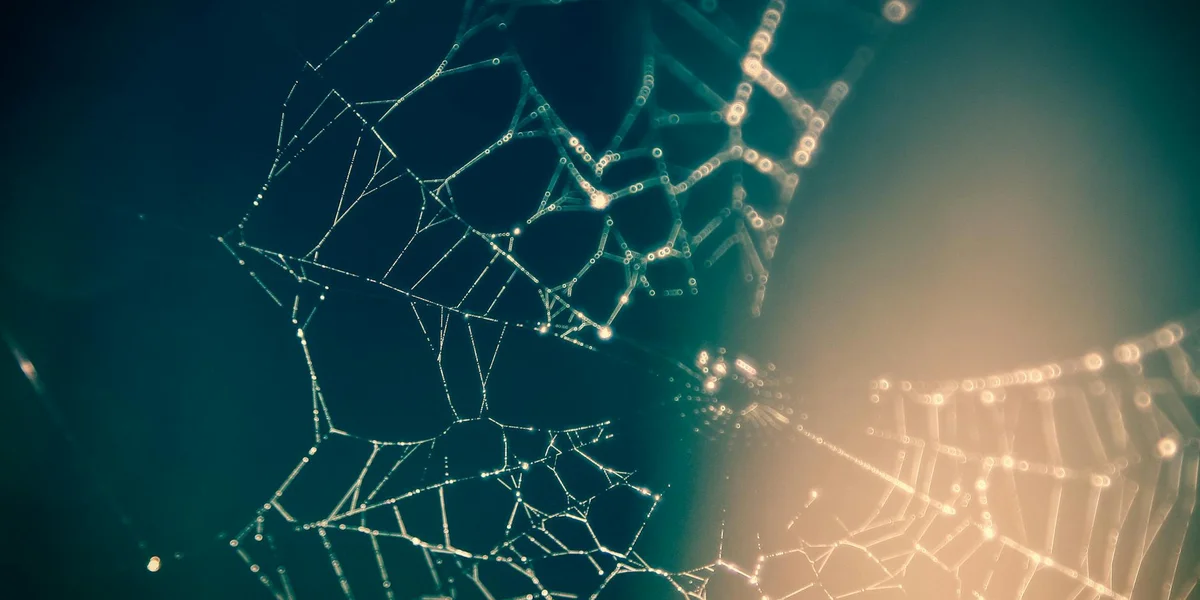 Close-up of a delicate spider web illuminated by soft light against a dark blue background.