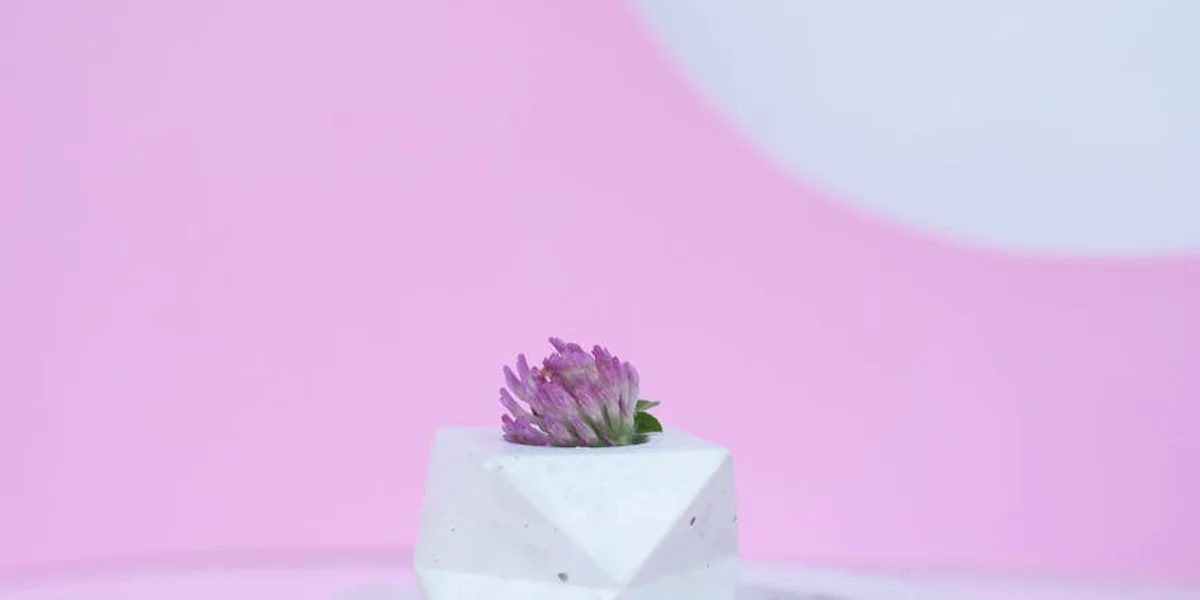 A small purple flower in a white geometric vase against a soft pink background.