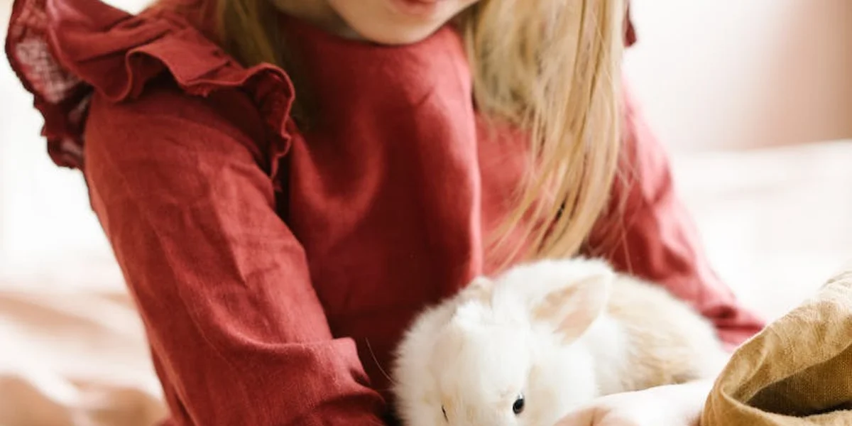 Young child in a red dress cuddling a white rabbit on a bed.