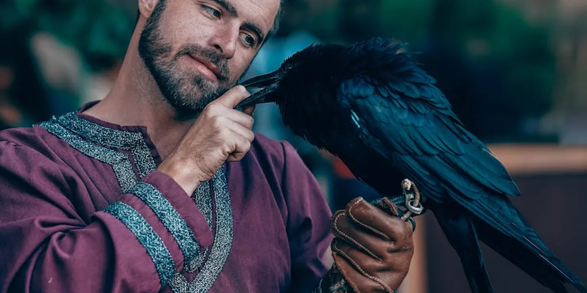 Man in a burgundy tunic gently touches a raven perched on his gloved hand, a moment of contemplation.