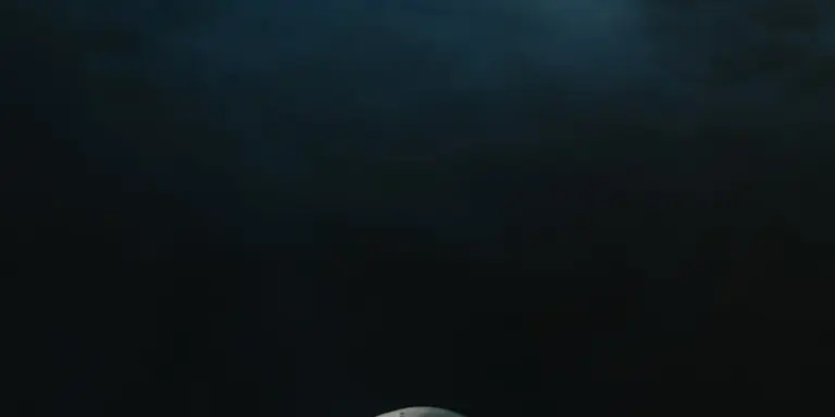 Dark underwater scene with a faint light at the surface, symbolizing mystery and the subconscious.