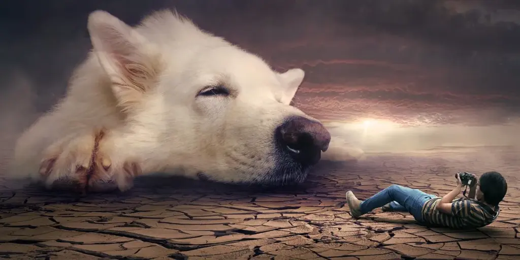 Recurring Dreams and Trauma: Your Subconscious Path to Healing