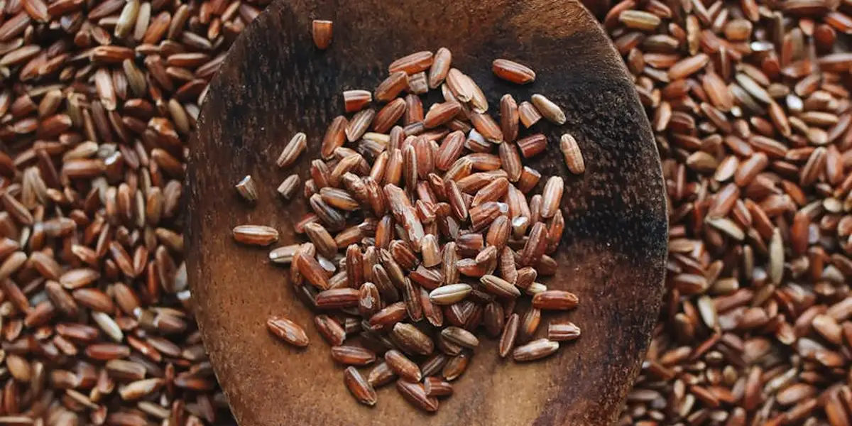 Close-up of brown rice grains scattered on a wooden surface with a dark wooden scoop resting among them