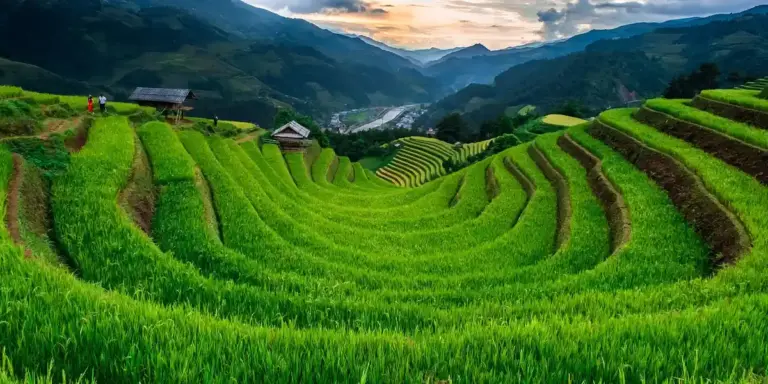Lush green rice terraces winding through a valley at sunset, symbolizing abundance and spiritual nourishment.