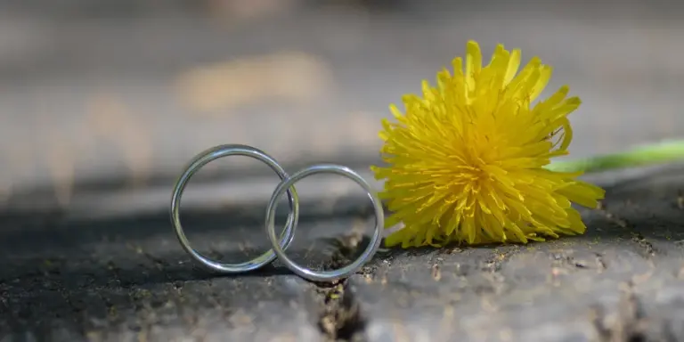 Two interlocking wedding rings resting on a dark surface beside a bright yellow dandelion